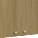 Ver imagem 6 de Armário de Cozinha Aéreo 80cm 2 Portas Mirella Freijó L01 - Mpozenato