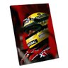 Quadro Ayrton Senna -- Br Artes - 1