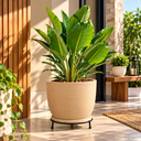 Ver imagem 1 de Suporte para Vaso de Plantas ou Descanso de Panela 20cm em Ferro Artesanal