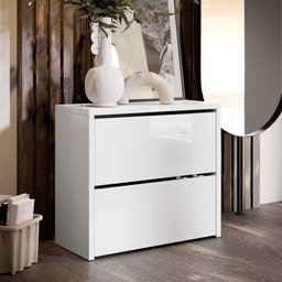 Sapateira Banco Organizadora 2 Portas Basculantes Hall de Entrada Closet Mel - Branco - 1