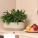 Ver imagem 4 de Vaso Jardineira Ritmo 16 (9l) Cor Areia Vasap