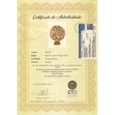 Ver imagem 7 de Roda Viva do Folclore - Alex Teles. Mario Teles G.t.o. Gto