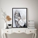 Ver imagem 1 de Quadro Decorativo Gatinho com Flor Branca 45x34cm - com Vidro:moldura Branca