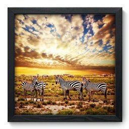Quadro Decorativo - Zebras - 33cm x 33cm - 008qnsbp - 1 Quadro Decorativo - Zebras - 33cm x 33cm - 008qnsbp - 1