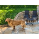 Ver imagem 5 de CADEIRAS DE JARDIM BELA COM MESA - SACADA, ÁREA, CHURRASQUEIRA, EDICULA, VARANDA, JARDIM CONJUNTO