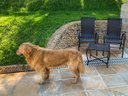 Ver imagem 5 de CADEIRAS DE JARDIM BELA COM MESA - SACADA, ÁREA, CHURRASQUEIRA, EDICULA, VARANDA, JARDIM CONJUNTO