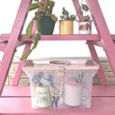 Ver imagem 6 de Kit 2 Maletas Plásticas Empilháveis Transparente Dello Pastas Suspensas Escritório Closet