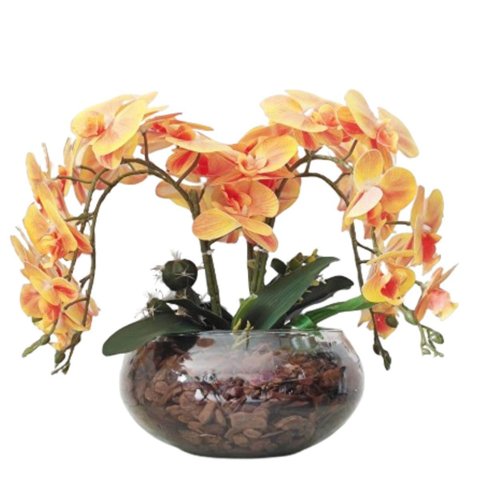 Arranjo de Mesa 4 Flores Orquídeas Coral Real Vaso Terrário