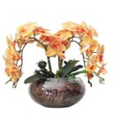 Ver imagem 1 de Arranjo de Mesa 4 Flores Orquídeas Coral Real Vaso Terrário