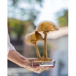 Escultura Cogumelo Dourado15,4x11x19cm - 3