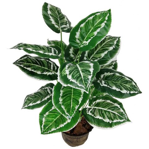 Planta Artificial Aglaonema Folhagem Real Verde Permanente