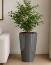 Ver imagem 2 de Vaso de Fibra de Vidro Roma m 70cm Brilhantes e Foscos Decorativo Cinza Escuro