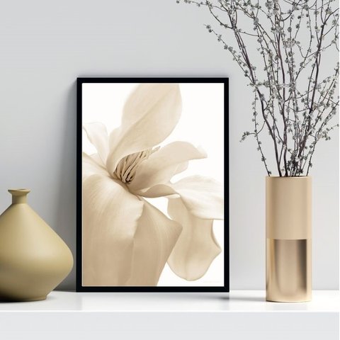 Quadro Decorativo Flor Bege Fundo Branco 24x18cm - com Vidro:madeira Preta