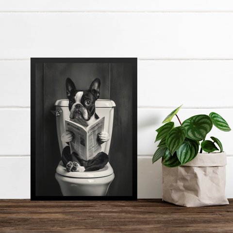 Quadro Boston Terrier no Banheiro Lendo Jornal 24x18cm:moldura Branca