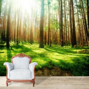 Papel de Parede Adesivo, Floresta, Campo, Paisagem, Auto Adesivo