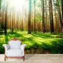 Ver imagem 1 de Papel de Parede Adesivo, Floresta, Campo, Paisagem, Auto Adesivo