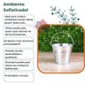 30 Balde Alumínio Prata Grande C/alça Lembrancinha Decoração - 6
