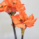 Ver imagem 4 de Flores artificiais Arranjos de Flores Amarílis Laranja no Vaso de Vidro|Linha permanente