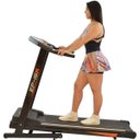 Ver imagem 2 de Esteira Ep-16K até 120Kg Motor 3.0 Hp/Cc Polimet Bivolt 0261