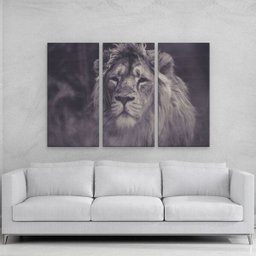 Quadro Conjunto Leao de Juda Preto e Branco em Mdf - 2