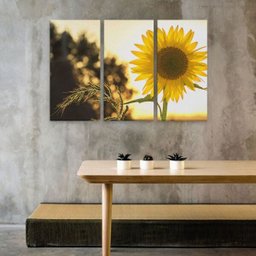 Quadro Margaridas em MDF - 2