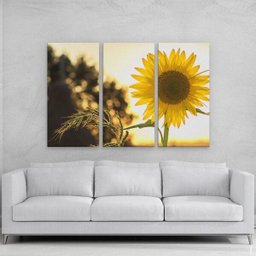 Quadro Margaridas em MDF - 1