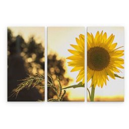 Quadro Margaridas em MDF - 4