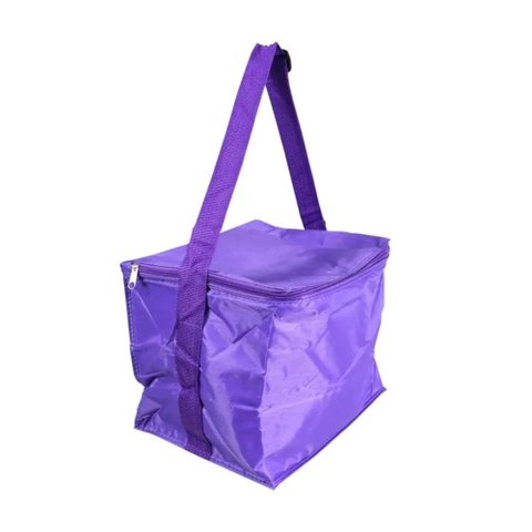 Bolsa Térmica Poliéster 24 Latas Praia Piscina Ziper Bel:roxo