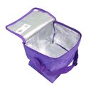 Ver imagem 4 de Bolsa Térmica Poliéster 24 Latas Praia Piscina Ziper Bel:roxo