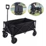 Carrinho Dobrável Camping Praia Suporta 100kg Transporte - 1