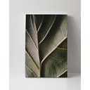 Ver imagem 1 de Tela em Canvas 099