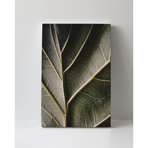 Tela em Canvas 099