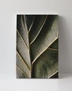 Ver imagem 1 de Tela em Canvas 099
