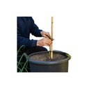Ver imagem 3 de Estacas de Bambu para Tutor de Plantas: 1mt X 6mm - 50un