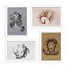 Quadros Animais Safari África Moldura Branca 22x32cm 4un - 1