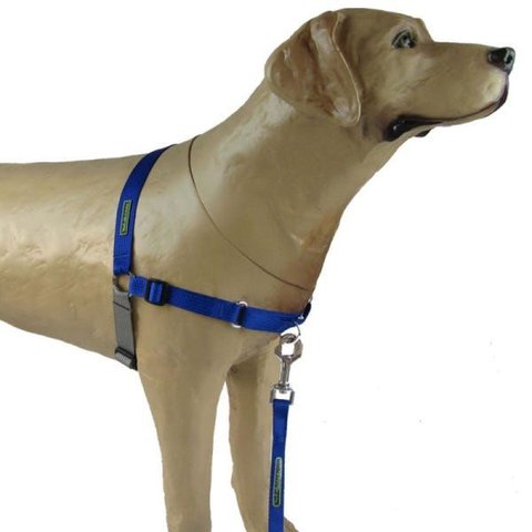 Peitoral Modelo Easy Walk Anti Puxão - K9 Spirit - Azul - Tam P