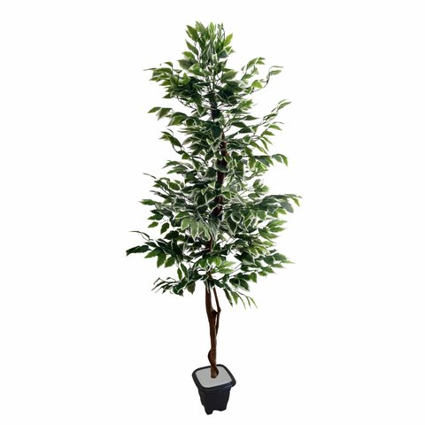 Planta Artificial Árvore Ficus Variegata 1,60 Metros de Altura
