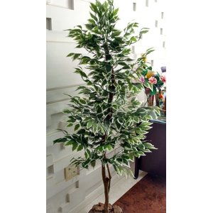 Planta Artificial Árvore Ficus Variegata 1,60 metros de altura
