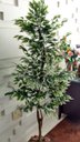 Ver imagem 2 de Planta Artificial Árvore Ficus Variegata 1,60 Metros de Altura