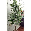 Ver imagem 2 de Planta Artificial Árvore Ficus Variegata 1,60 Metros de Altura