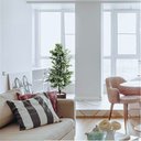 Ver mais imagens de Planta Artificial Árvore Ficus Variegata 1,60 Metros de Altura