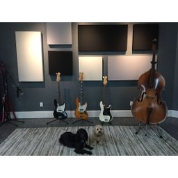 Painel Acústico Bl Acoustic 1301 - 2