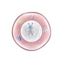 Ver imagem 4 de Plafon Infantil Astronauta Pink-b 22w