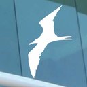 Ver imagem 2 de Cartela Adesiva Anti-Choque Passáros-Grande 7 Unidades