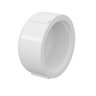 Cap Tigre C/rosca a 1/2 C/50pcs - 1