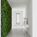 Ver imagem 6 de 25 Painéis Jardim Vertical Artificial Samambaia Eucalipto 60x40 Parede Verde Luxo Decoração Moderna
