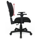 Ver imagem 4 de Cadeira B-One Executiva Back System Ergonômica Nr 17 com Braços Reguláveis
