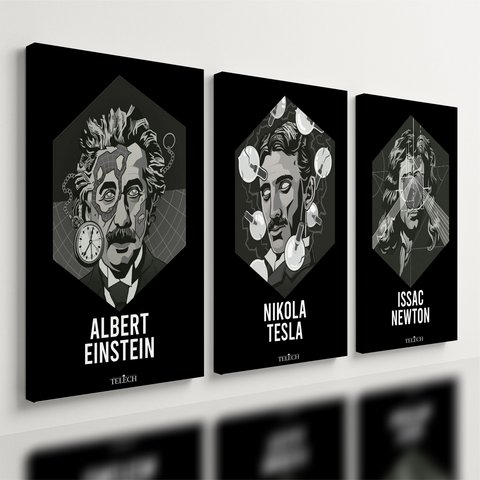 Kit 3 Quadro Decorativo Física Einstein Tesla Newton Ciencia 40x28cm