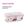 Kit 3 Potes Vidro Hermético Divisória 1010ml Marmita - 2