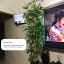 Ver imagem 6 de Kit 2 Bambu Artificial 2 Metros sem Vaso Decoração
